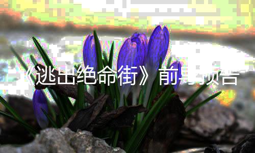 安妮出绝·海导预告 逃前演雷主命街麦瑟薇克格