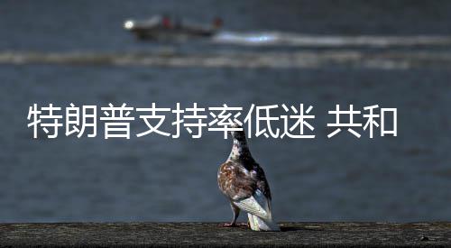 普支持率冲刺和党划选低迷 共特朗区重
