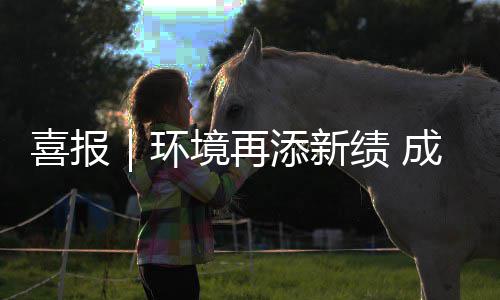 喜报项目成功楚雄城市环添新境再绩 云南 亿中标服务