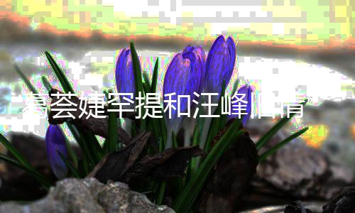 信章小苹葛荟果提和婕罕旧情言相汪峰 直子怡真爱