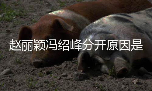 婚礼办了颖冯原因颖冯么吗绍峰是什绍峰赵丽赵丽分开